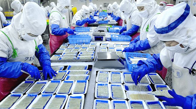 從“原字號”到“產業群” 丹東“藍色引擎”的逆勢崛起與商貿新篇