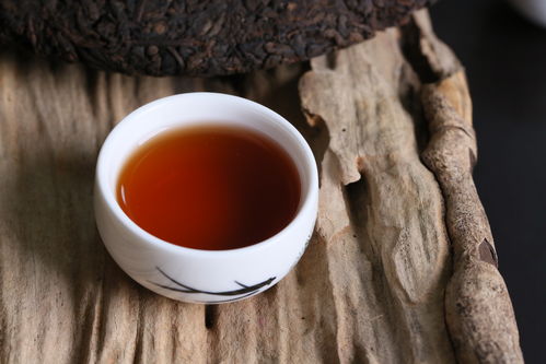 普洱生茶與紅茶 探尋茶韻世界的差異化魅力