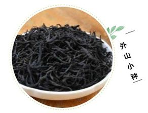 紅茶入門指南 從零開始掌握這些知識點，品味紅茶的魅力