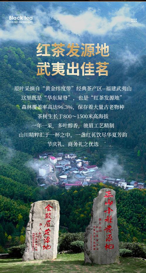正山堂駿眉中國特級紅茶 每一袋都是傳奇